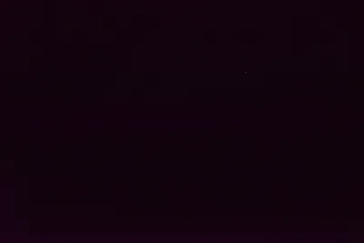 DSC_5975 (Large).JPG